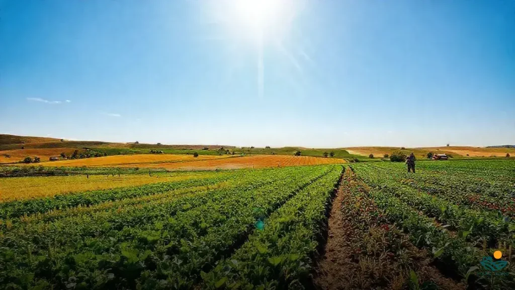 técnicas agrícolas