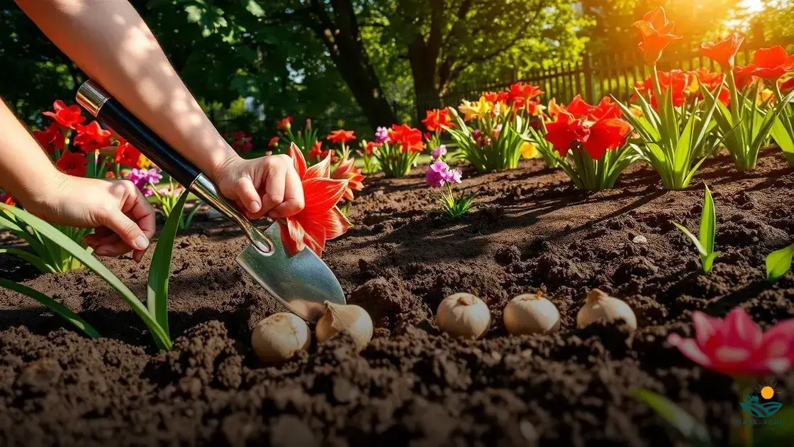 como plantar amarílis no chão
