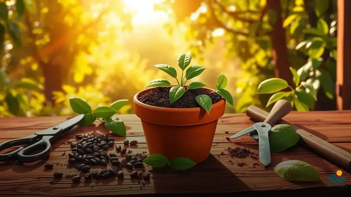 como plantar cacau em vaso