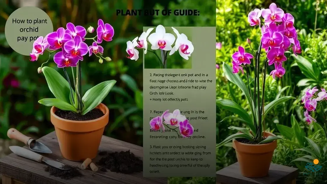 como plantar orquideas em vaso de barro