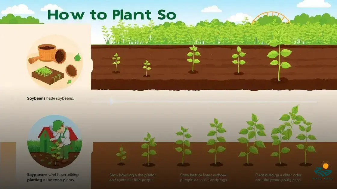 como plantar soja