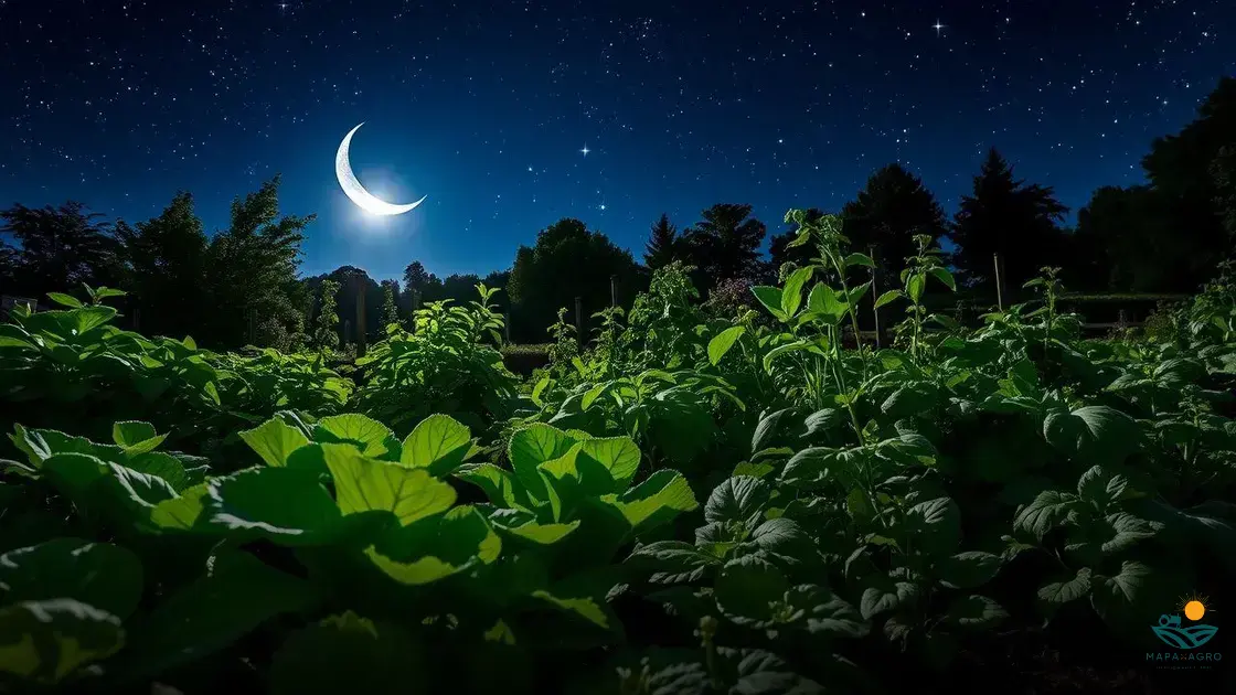 o que é bom plantar na lua crescente para ter sucesso no cultivo