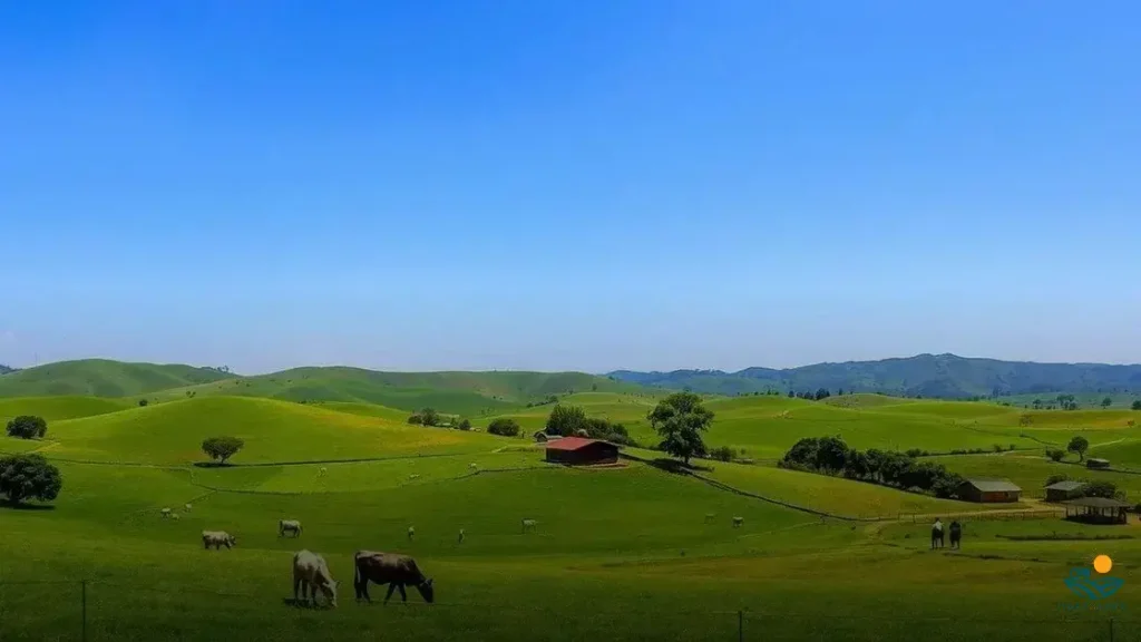 agropecuaria em jaragua do sul