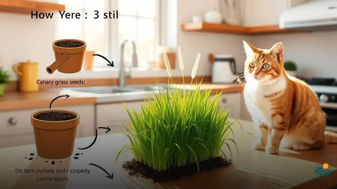 como plantar alpiste para gatos