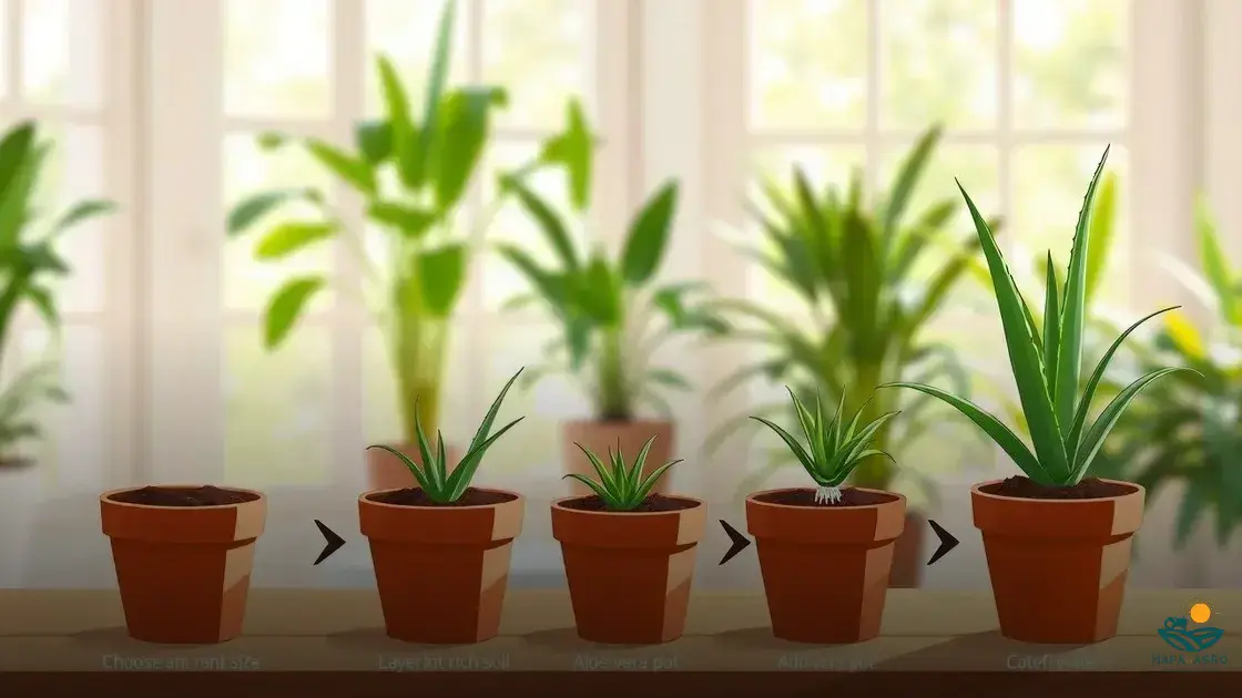 como plantar babosa no vaso