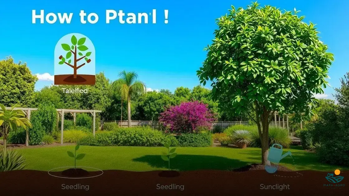 como plantar o pau brasil