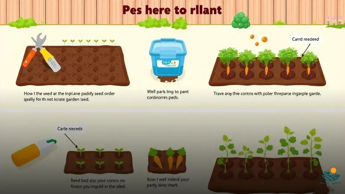 como plantar sementes de cenoura