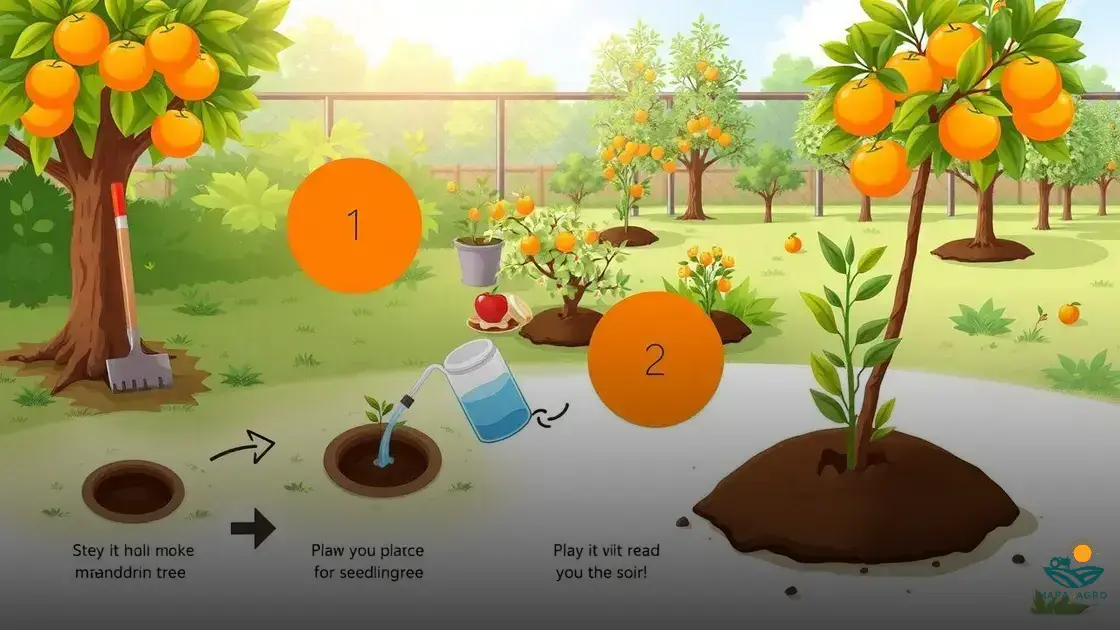 como plantar tangerinas