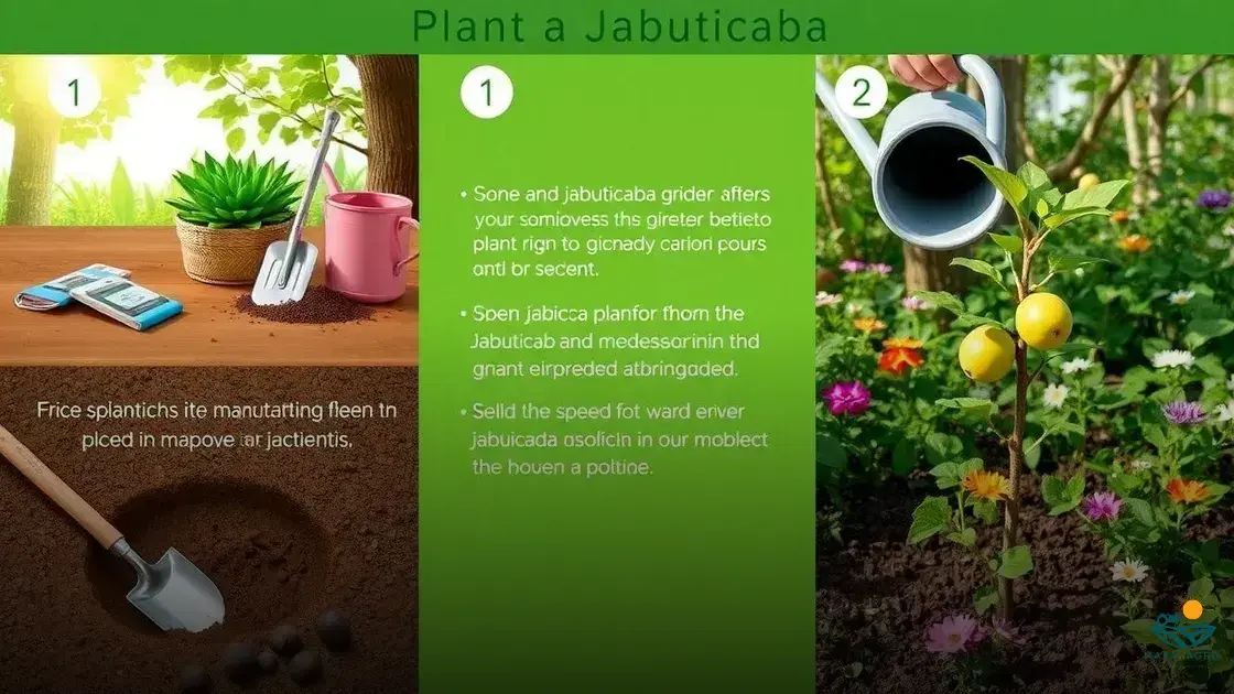 como plantar um pé de jabuticaba