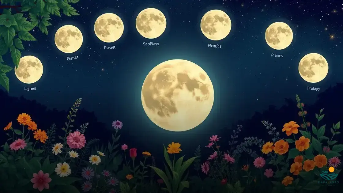 qual a melhor fase da lua para plantar