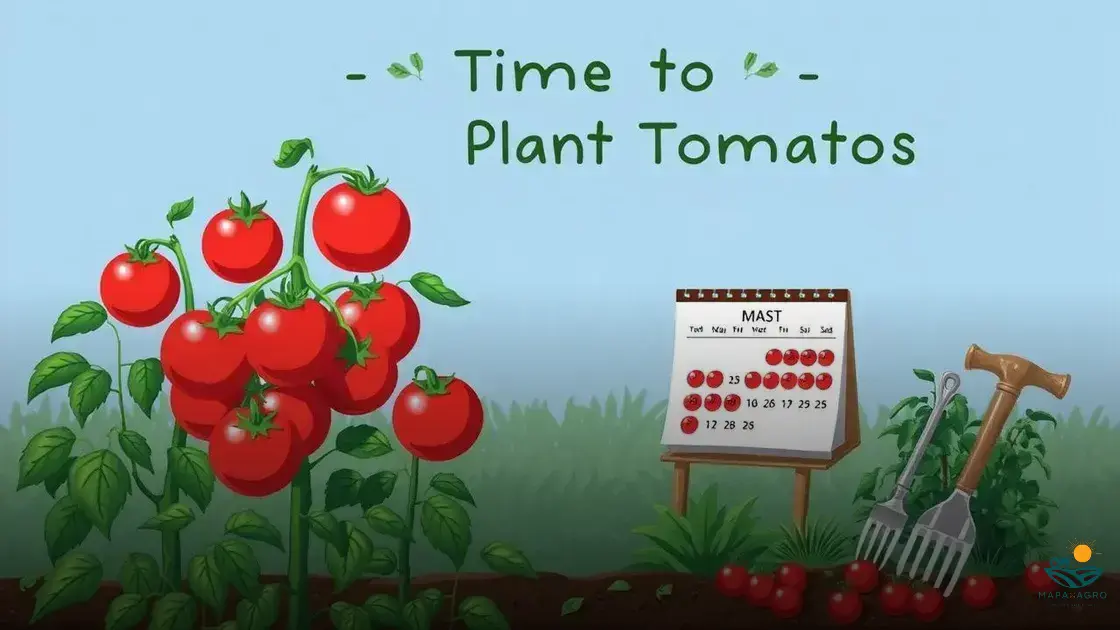 qual é a época de plantar tomate