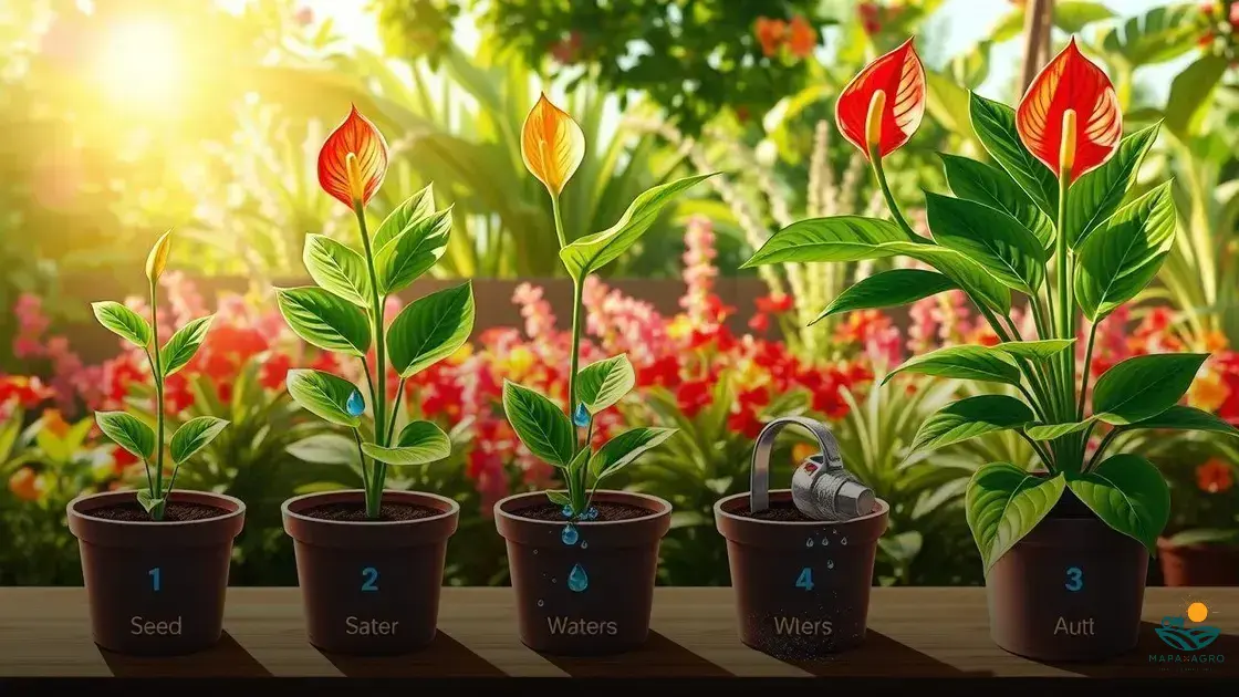 como cultivar antúrio no vaso