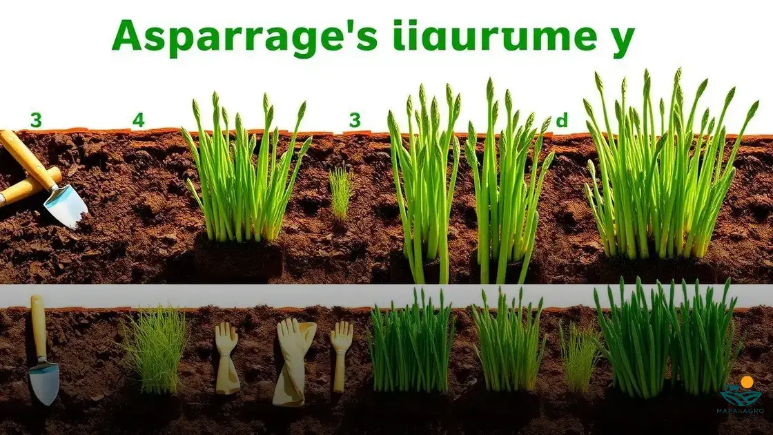 como cultivar aspargos