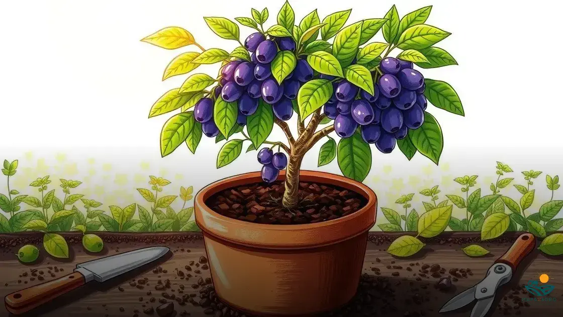 como cultivar jabuticaba no vaso