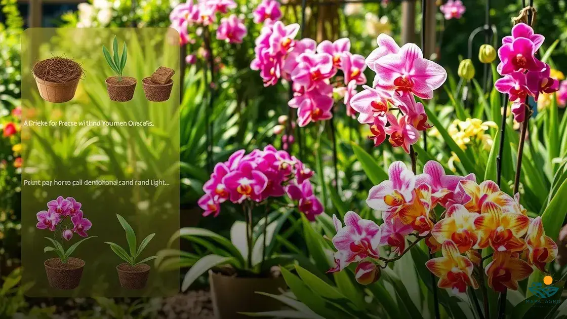 como plantar orquídeas dendrobium