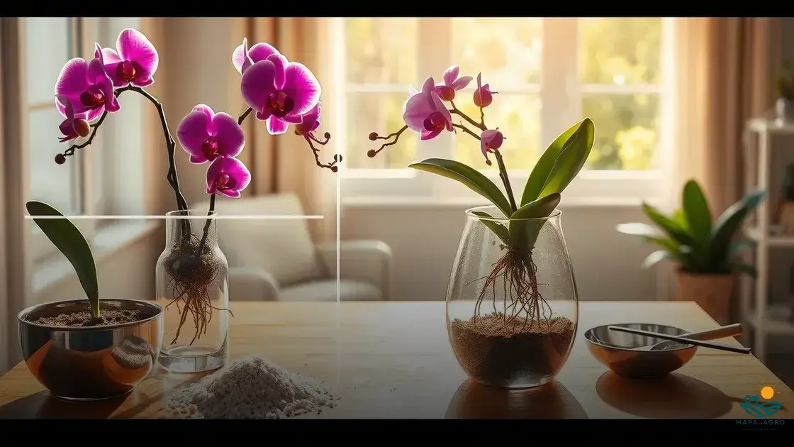 como plantar orquideas em vaso de vidro