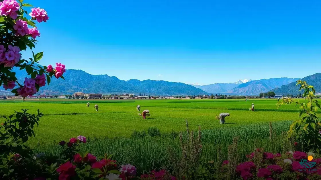 minas agricola