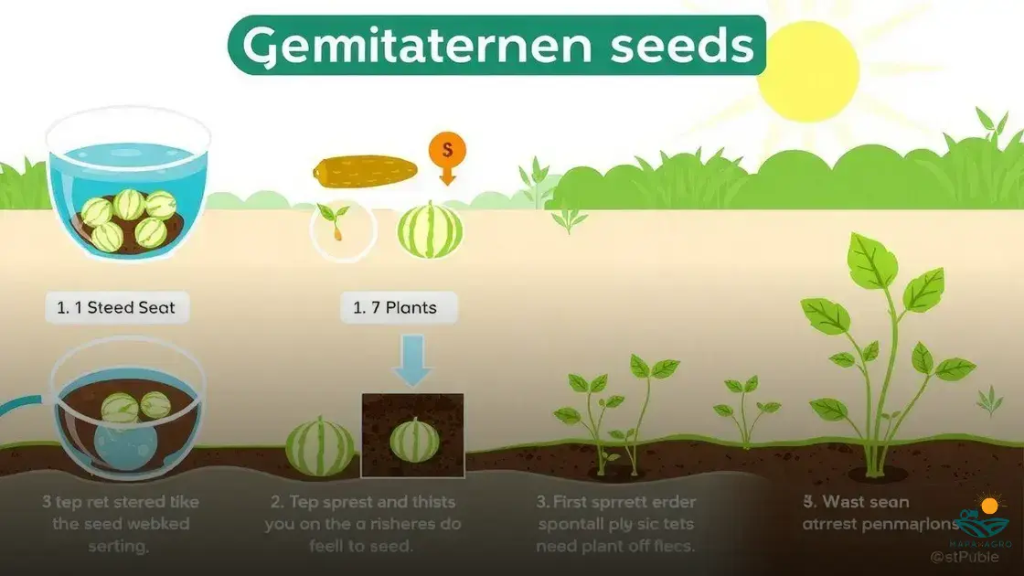 como germinar semente de melao
