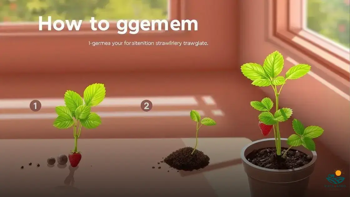 como germinar semente de morango