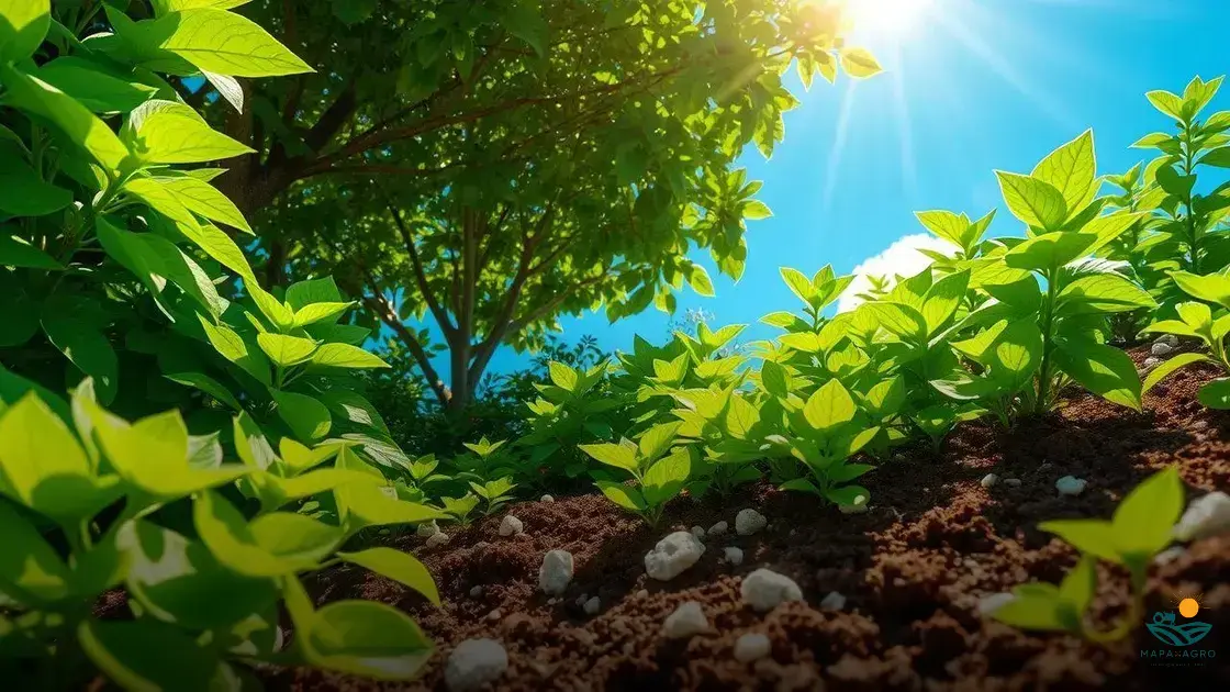 para que serve calcario nas plantas