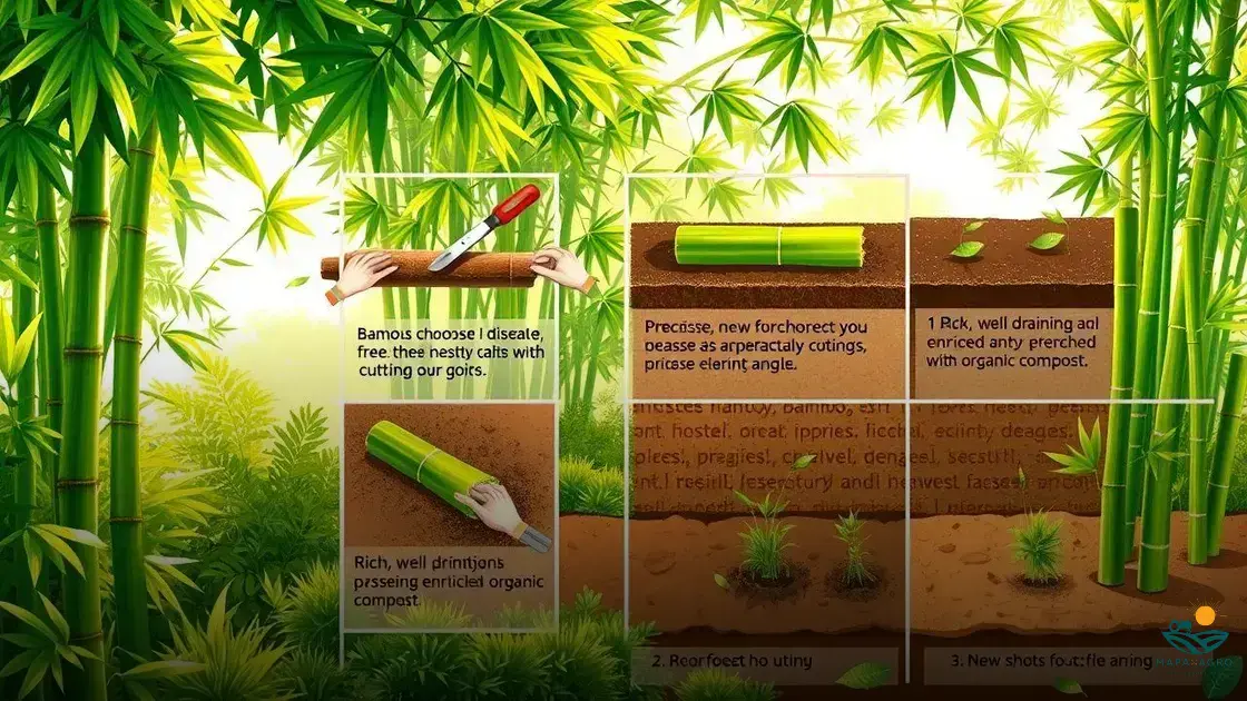 como faz muda de bambu