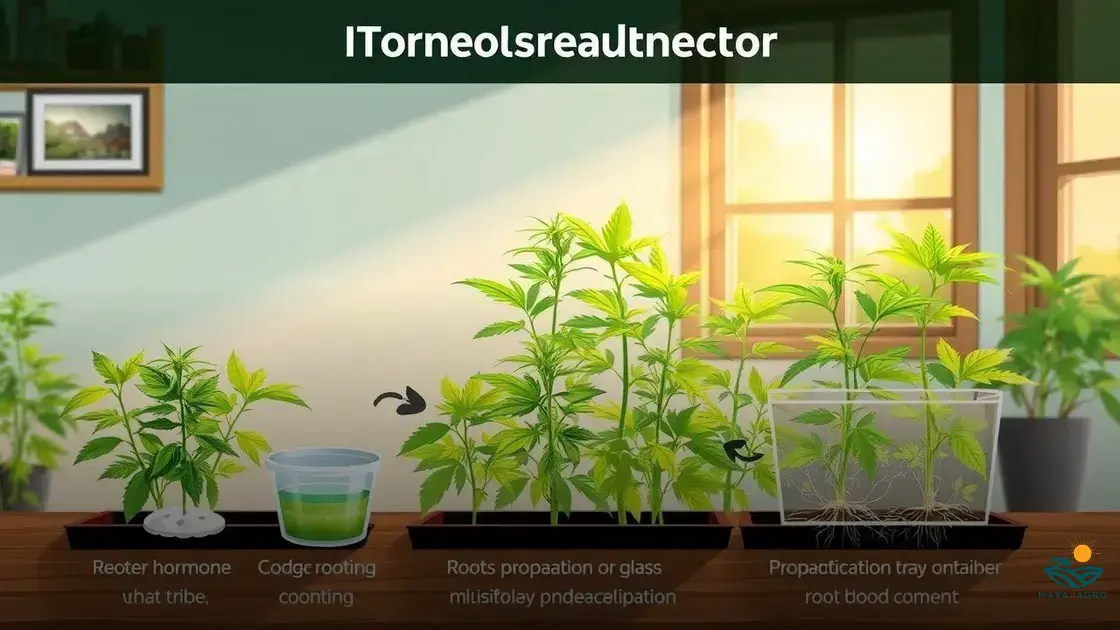 como fazer muda de cannabis