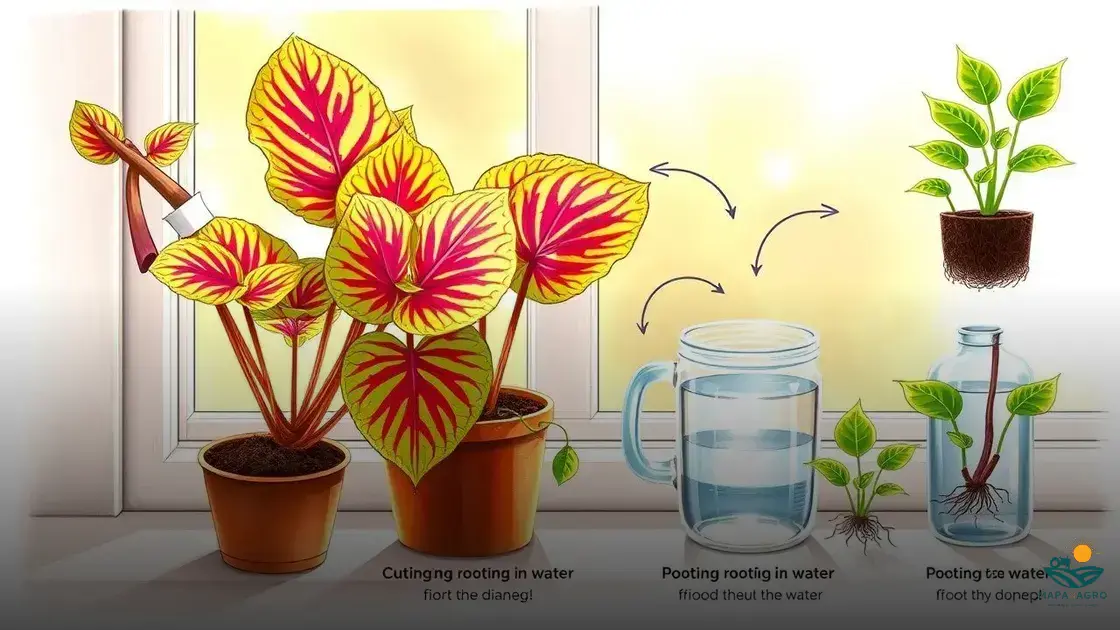 como fazer muda de coleus