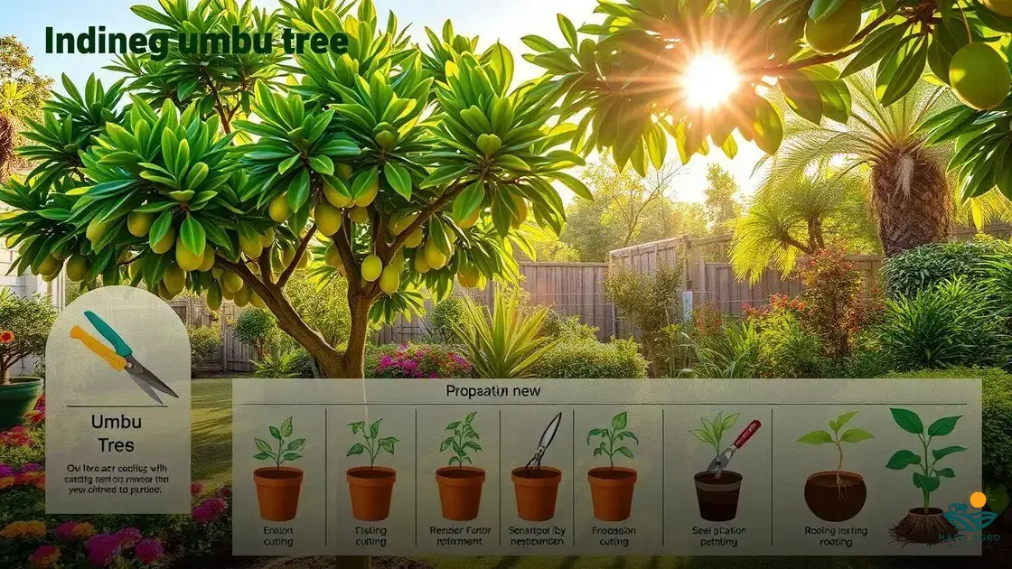 como fazer muda de umbu e cultivar em casa com sucesso