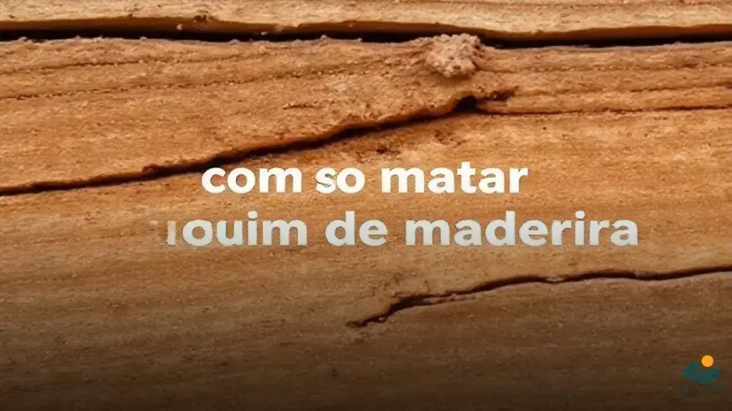 como matar cupim de madeira
