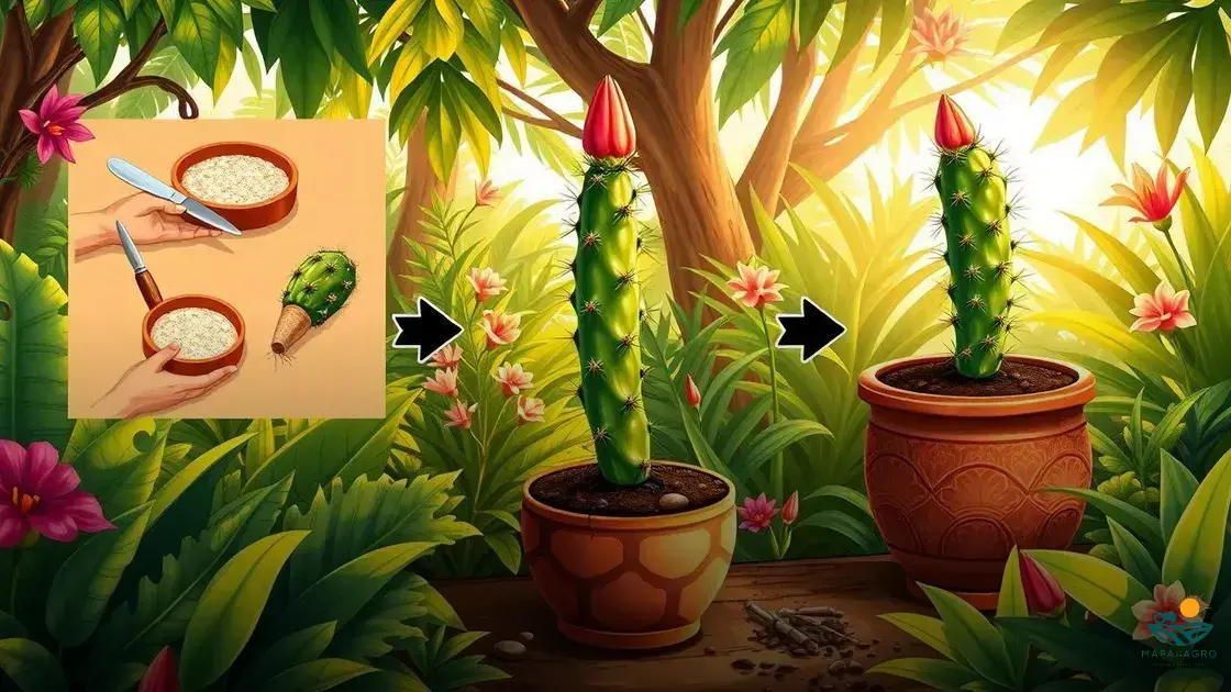 como tirar muda de pitaya