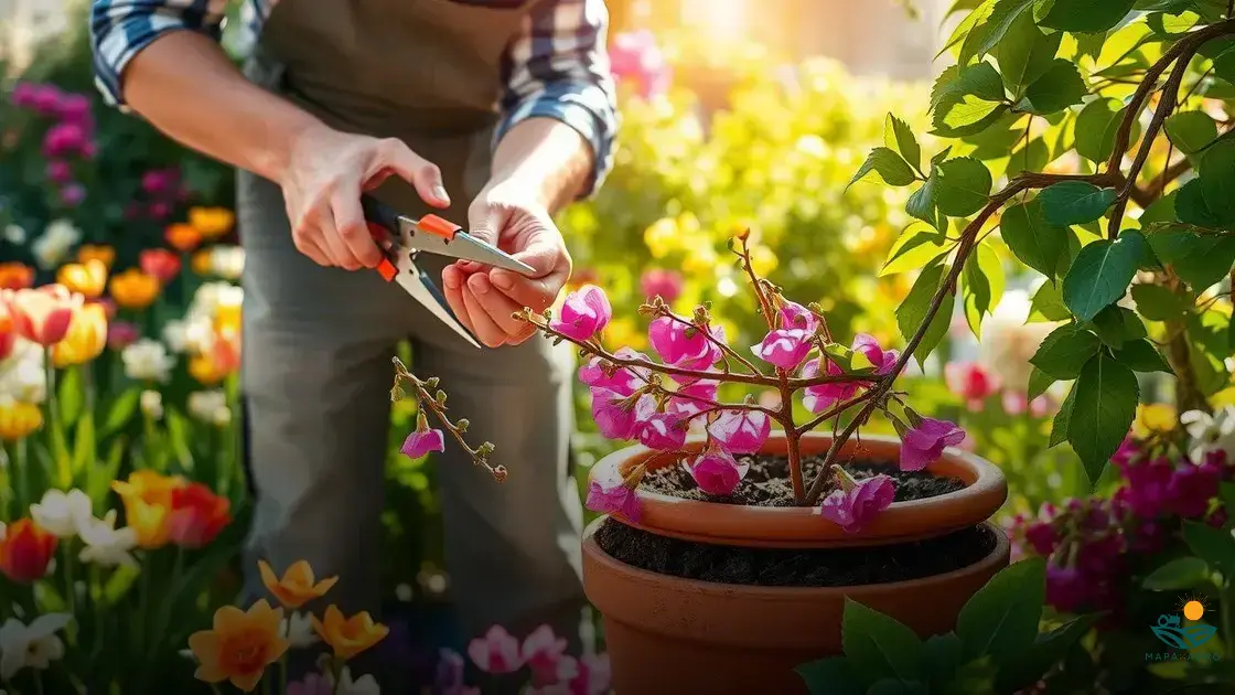 como tirar muda de primavera