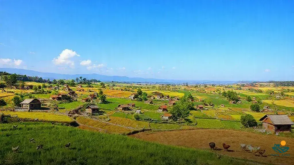 o que e populacao rural