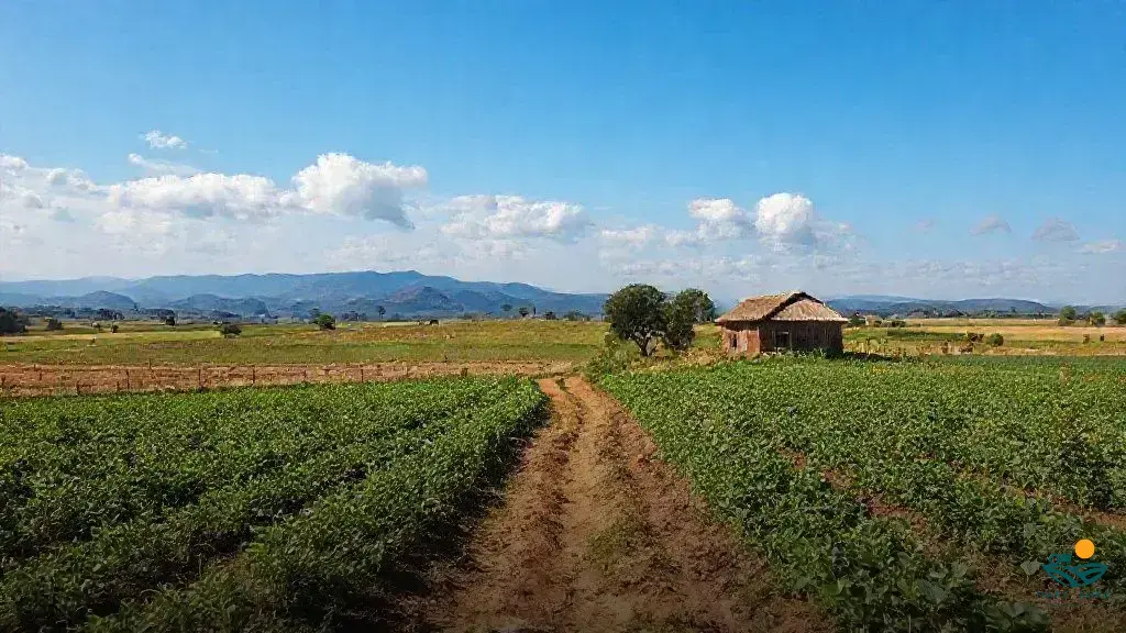 o que significa alqueire na bíblia