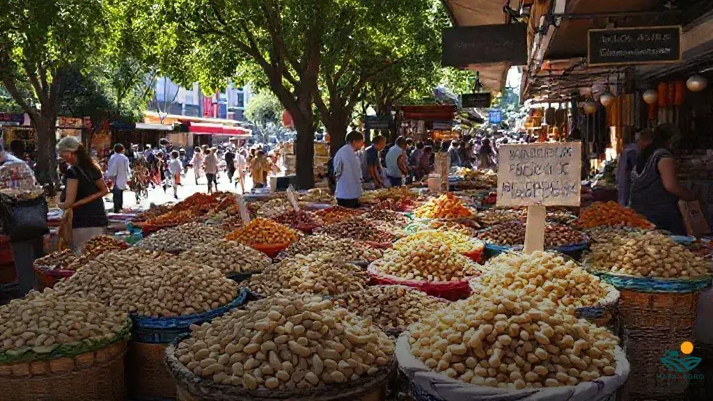 onde comprar sementes de abóbora