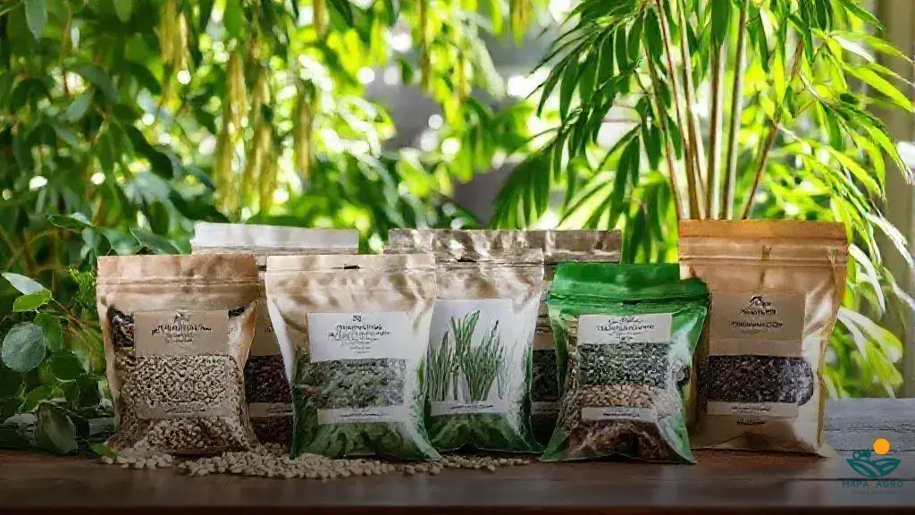 onde comprar sementes de moringa