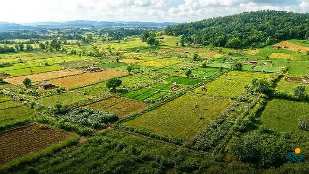 qual a medida de 1 hectare