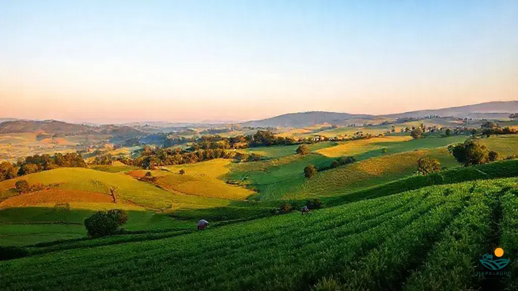 quanto custa um alqueire de terra