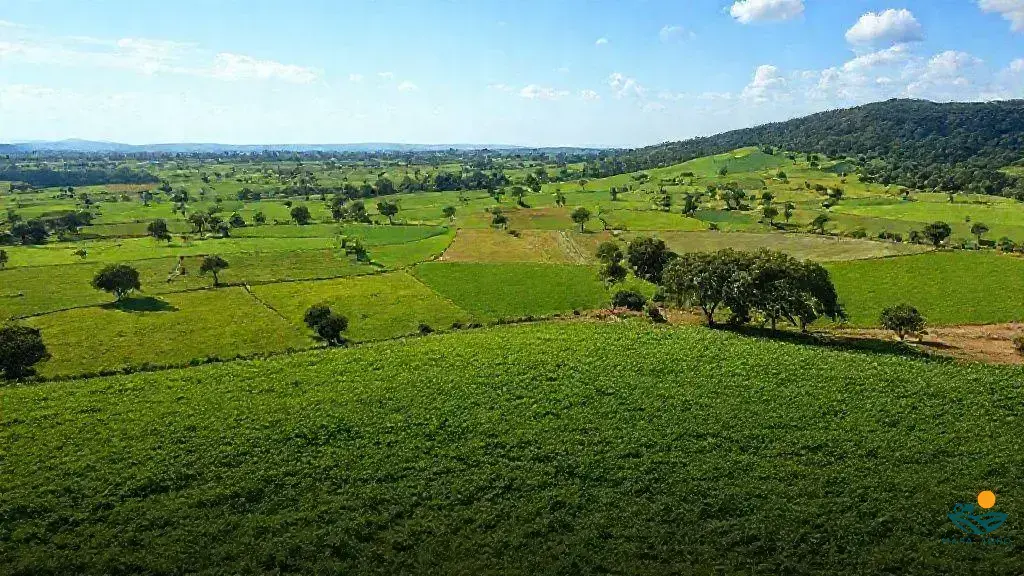 quanto que é um alqueire de terra